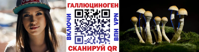 Галлюциногенные грибы GOLDEN TEACHER  KRAKEN маркетплейс  Заволжск 